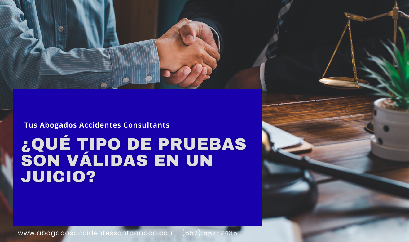 qué evidencia necesito para una demanda